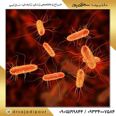 بیماریهای باکتریایی